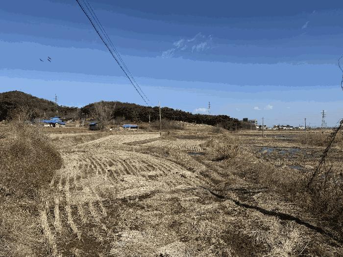 충청남도 당진시 석문면 교로리 178 답 경매 사진 2