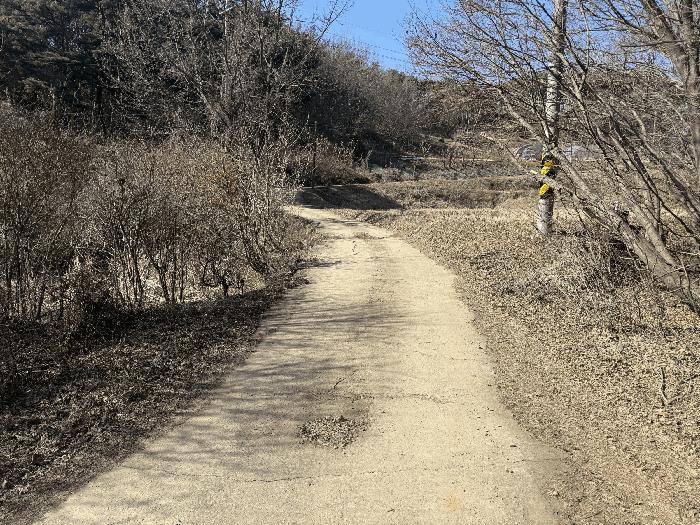 충청남도 당진시 석문면 교로리 178 답 경매 사진 3