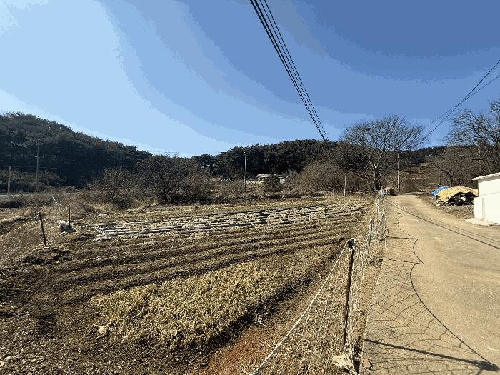 충청남도 당진시 석문면 교로리 178 답 경매 사진 5
