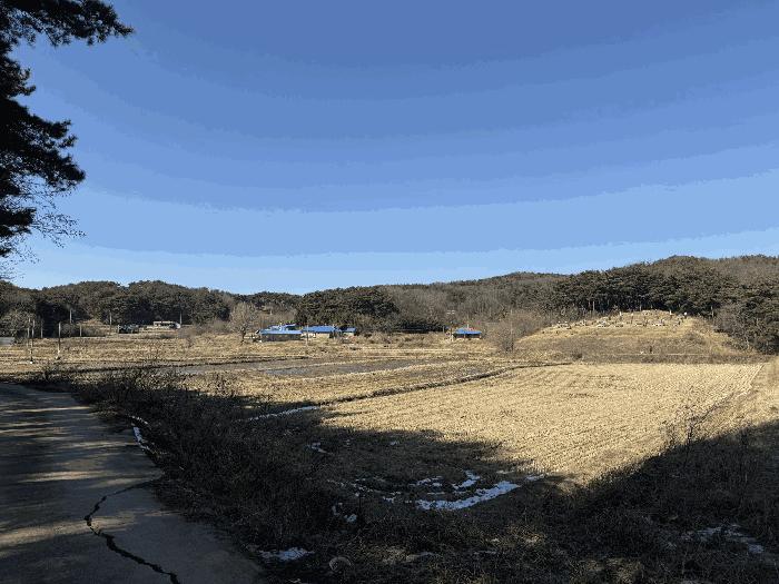 충청남도 당진시 석문면 교로리 178 답 경매 사진 6