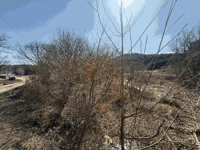 충청남도 당진시 석문면 교로리 178 답 경매 사진 7