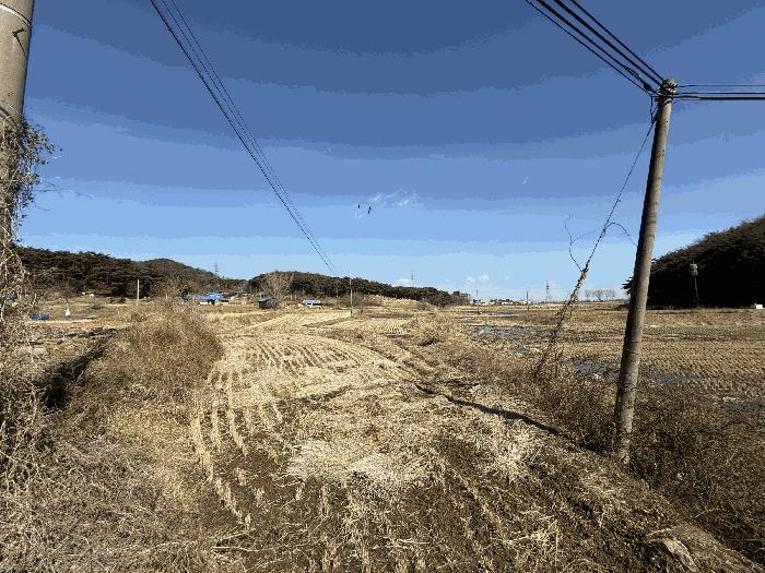 충청남도 당진시 석문면 교로리 178 답 경매 사진 8