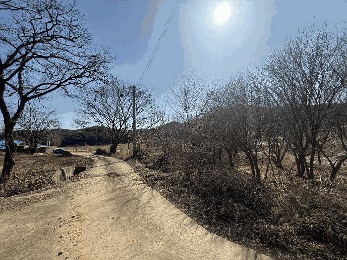 충청남도 당진시 석문면 교로리 205 답 경매 사진 1