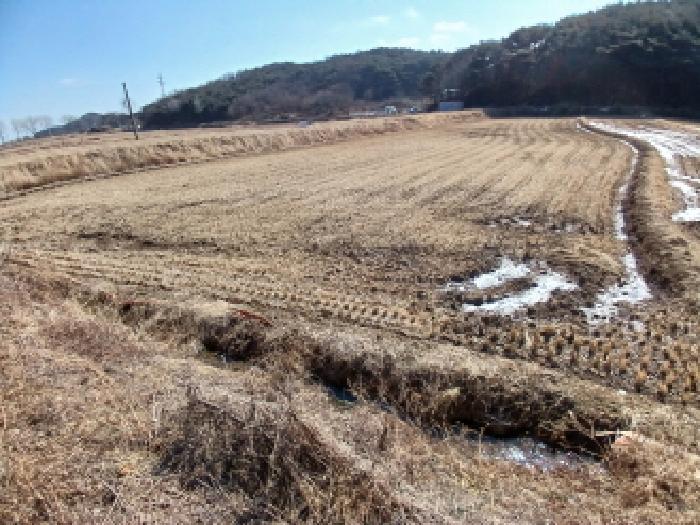 충청남도 당진시 석문면 교로리 205 답 경매 사진 16