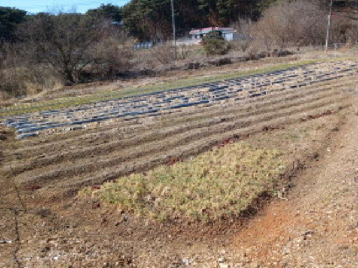 충청남도 당진시 석문면 교로리 723 전 경매 사진 10