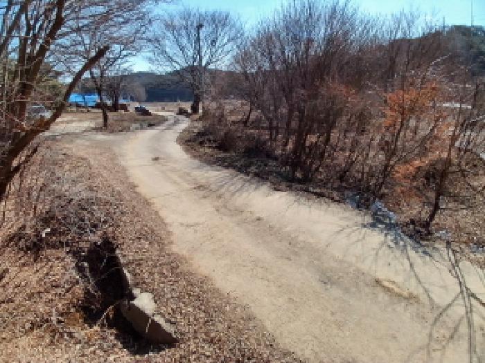충청남도 당진시 석문면 교로리 723 전 경매 사진 9