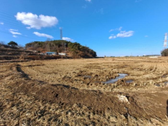 충청남도 당진시 송악읍 월곡리 산34-27 임야 경매 사진 11