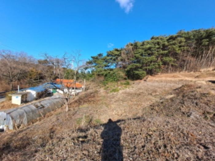 충청남도 당진시 송악읍 월곡리 산34-27 임야 경매 사진 20