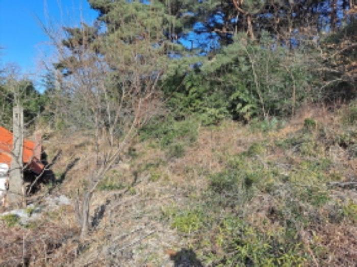 충청남도 당진시 송악읍 월곡리 산34-27 임야 경매 사진 22