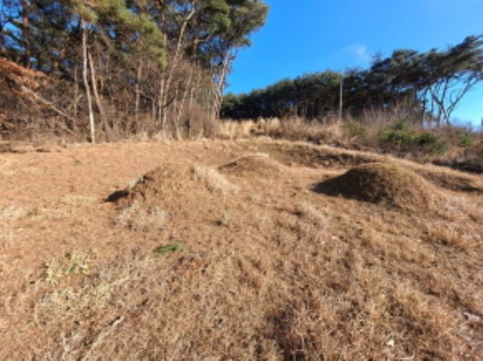 충청남도 당진시 송악읍 월곡리 산34-27 임야 경매 사진 23