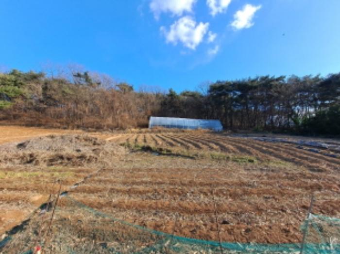충청남도 당진시 송악읍 월곡리 산34-27 임야 경매 사진 27