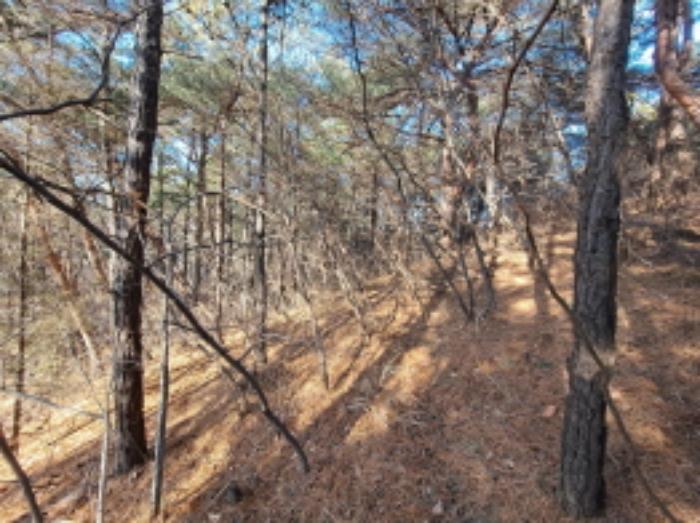 충청남도 당진시 송악읍 월곡리 산34-27 임야 경매 사진 30