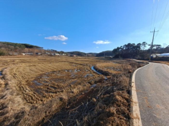 충청남도 당진시 송악읍 월곡리 산34-27 임야 경매 사진 9