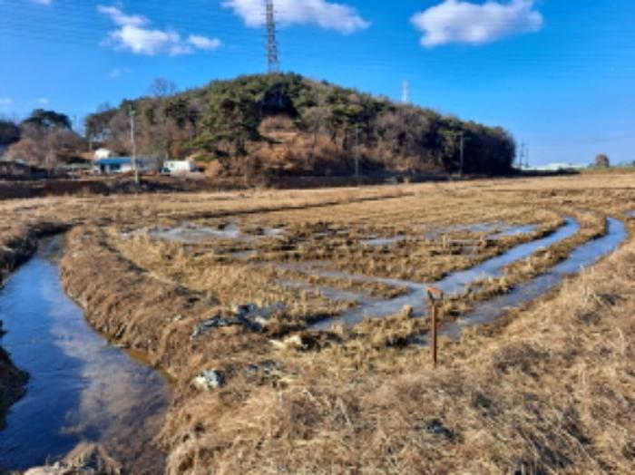 충청남도 당진시 송악읍 월곡리 131-8 답 경매 사진 12