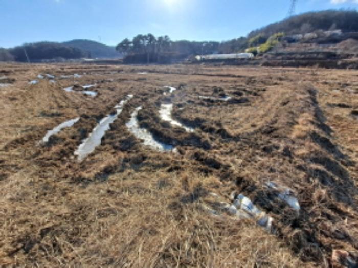 충청남도 당진시 송악읍 월곡리 131-8 답 경매 사진 13