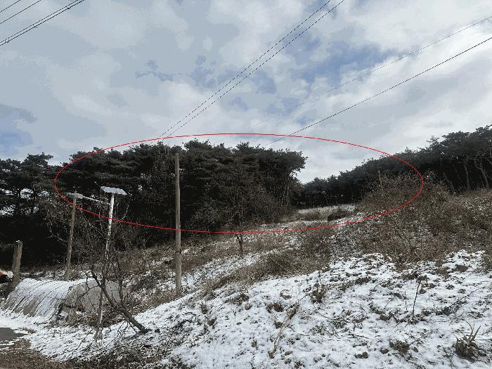충청남도 당진시 송악읍 월곡리 131-8 답 경매 사진 4