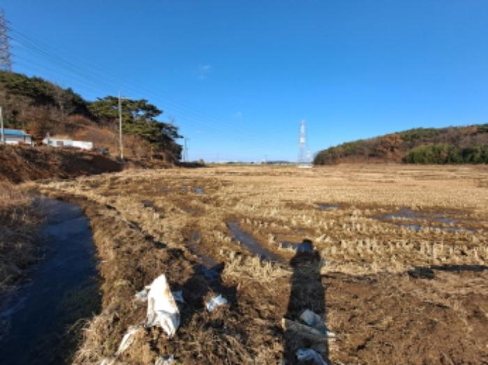 충청남도 당진시 송악읍 월곡리 131-8 답 경매 사진 8