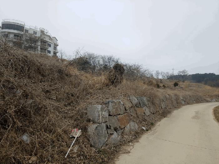 충청남도 태안군 고남면 고남리 1769-18 임야 경매 사진 1
