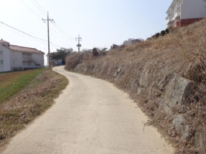 충청남도 태안군 고남면 고남리 1769-18 임야 경매 사진 11
