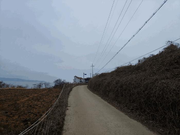 충청남도 태안군 고남면 고남리 1769-18 임야 경매 사진 2