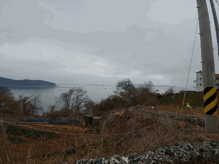 충청남도 태안군 고남면 고남리 1769-18 임야 경매 사진 3