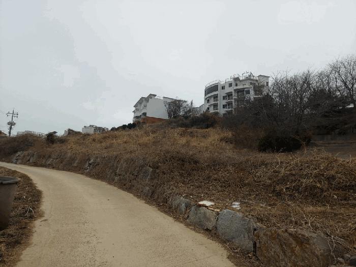 충청남도 태안군 고남면 고남리 1769-18 임야 경매 사진 5