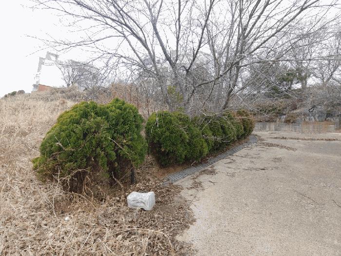 충청남도 태안군 고남면 고남리 1769-18 임야 경매 사진 6