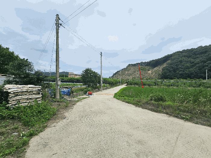 경상북도 김천시 남면 초곡리 569 답 경매 사진 2