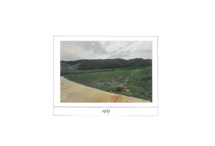 경상북도 김천시 남면 초곡리 569 답 경매 사진 5