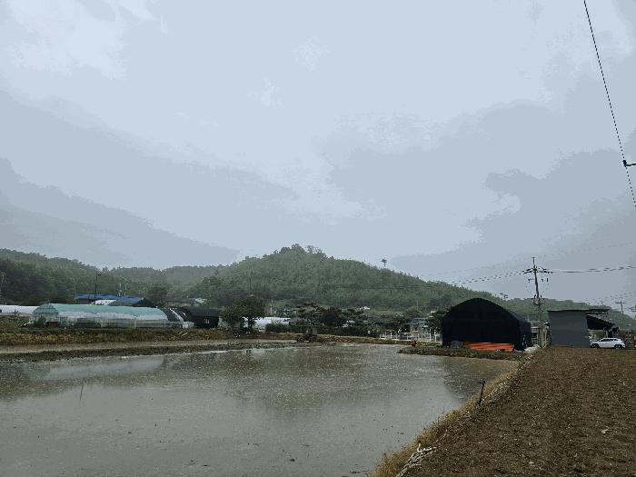 경기도 파주시 광탄면 창만리 198 전 경매 사진 2