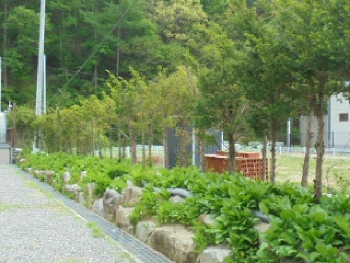 충청북도 괴산군 청천면 귀만리 471-1 숙박시설 경매 사진 19