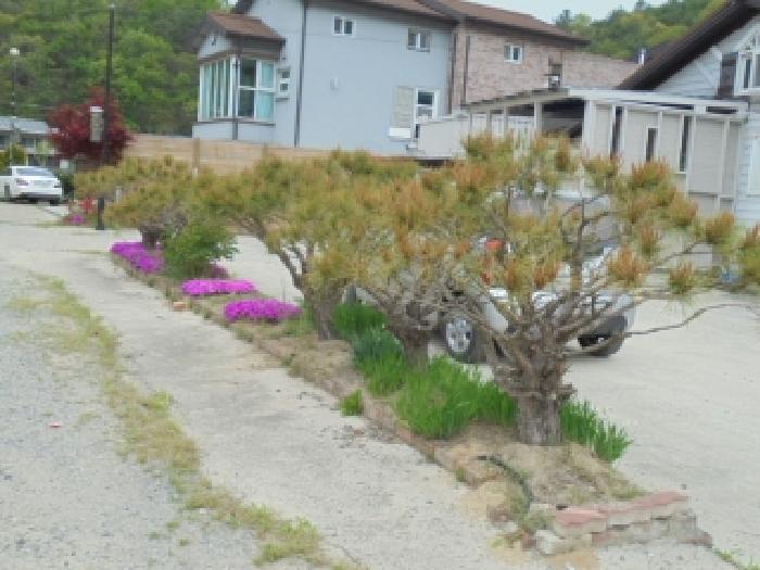 충청북도 괴산군 청천면 귀만리 471-1 숙박시설 경매 사진 20