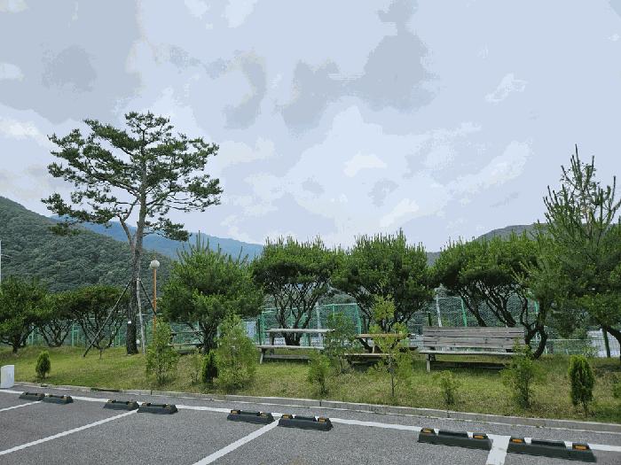 충청북도 괴산군 청천면 사담리 43-39 펜션(캠핑장) 경매 사진 1