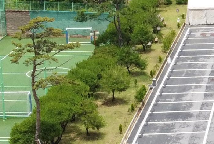 충청북도 괴산군 청천면 사담리 43-39 펜션(캠핑장) 경매 사진 17