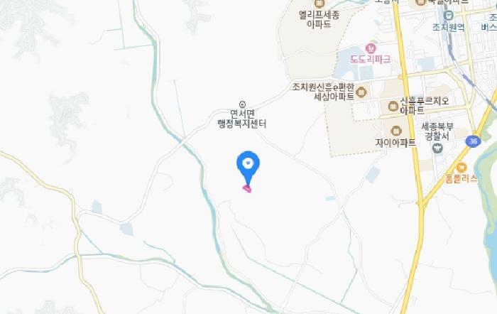 세종특별자치시 연서면 쌍전리 산18-6 임야 경매 사진 9