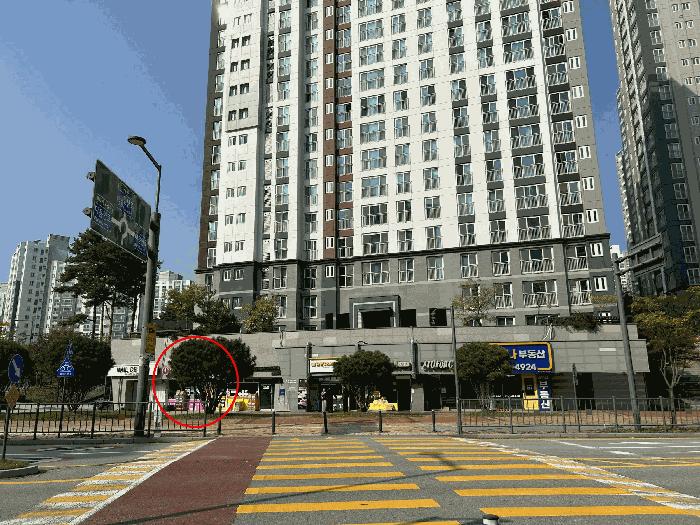세종특별자치시 고운동 1708 가락마을3단지 313(상가)동 1층105호 근린상가 경매 사진 5