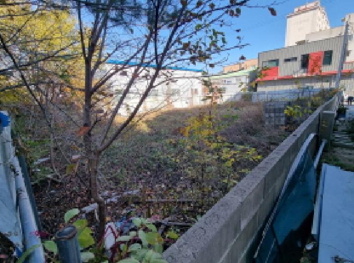 대전광역시 동구 낭월동 502 대지 경매 사진 10