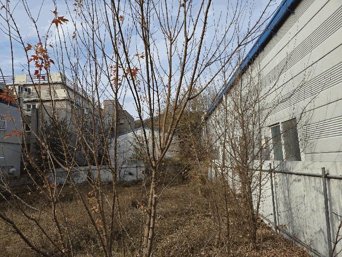 대전광역시 동구 낭월동 502 대지 경매 사진 3