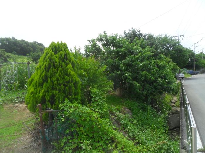경상남도 함안군 산인면 모곡리 861 임야 경매 사진 12