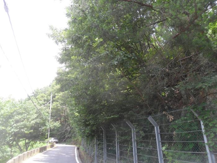 경상남도 함안군 산인면 모곡리 861 임야 경매 사진 13