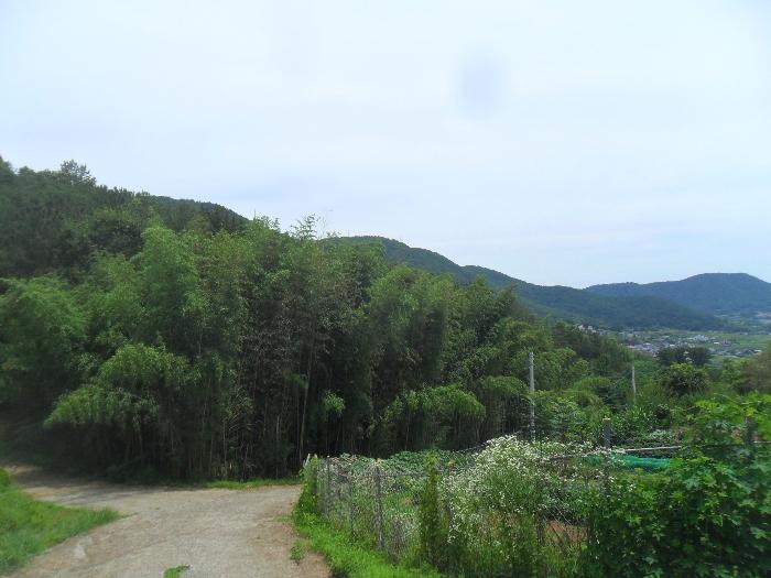 경상남도 함안군 산인면 모곡리 861 임야 경매 사진 14