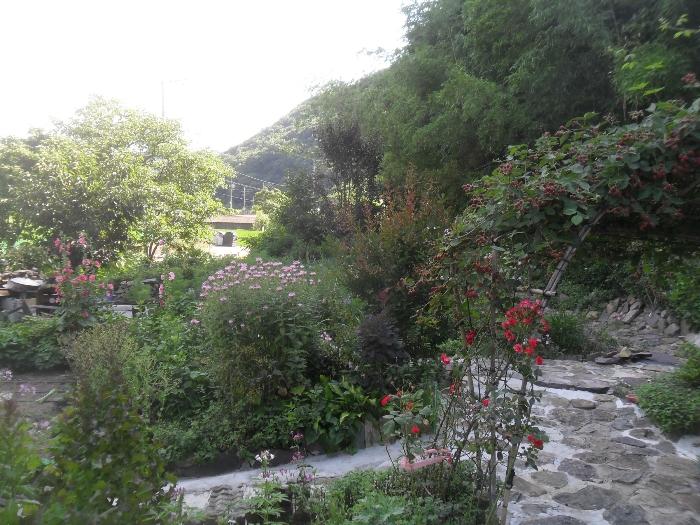 경상남도 함안군 산인면 모곡리 861 임야 경매 사진 29