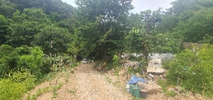 경상남도 함안군 산인면 모곡리 861 임야 경매 사진 44