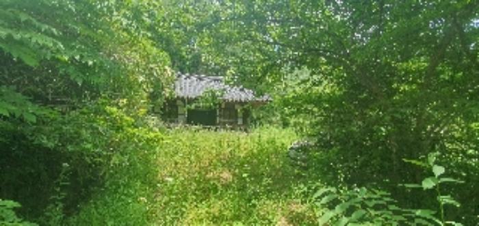 경상남도 함안군 산인면 모곡리 861 임야 경매 사진 59