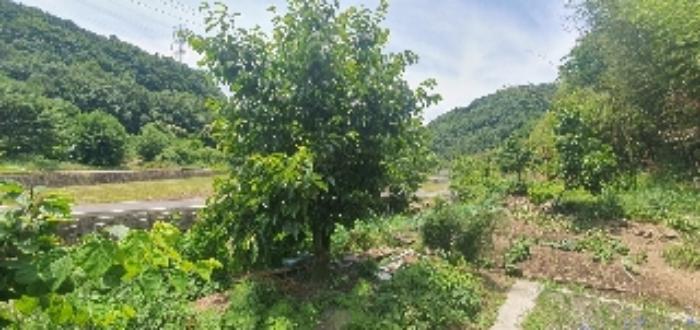 경상남도 함안군 산인면 모곡리 861 임야 경매 사진 70