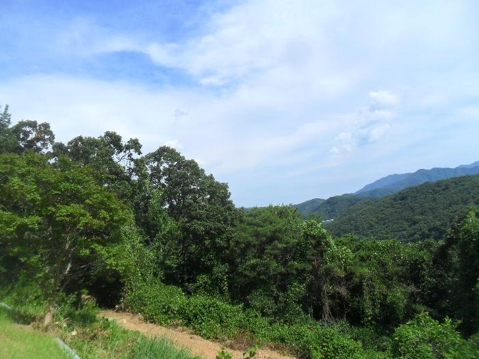 경상남도 함안군 산인면 모곡리 1152 대지 경매 사진 21