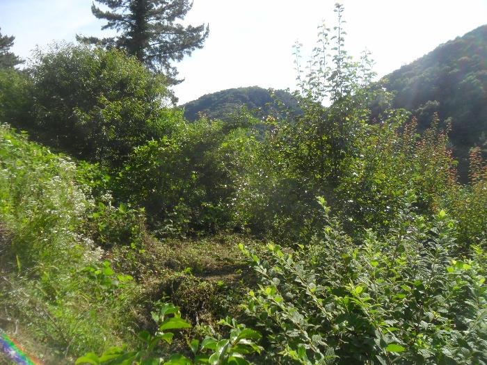경상남도 함안군 산인면 모곡리 1152 대지 경매 사진 23