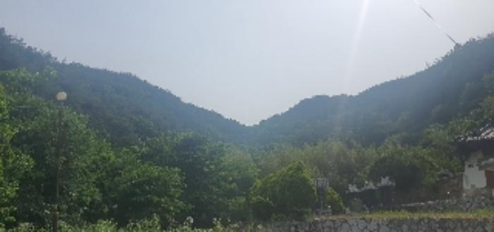 경상남도 함안군 산인면 모곡리 1152 대지 경매 사진 42