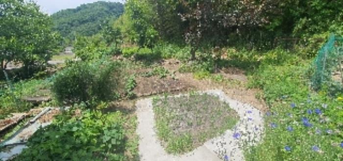 경상남도 함안군 산인면 모곡리 1152 대지 경매 사진 67