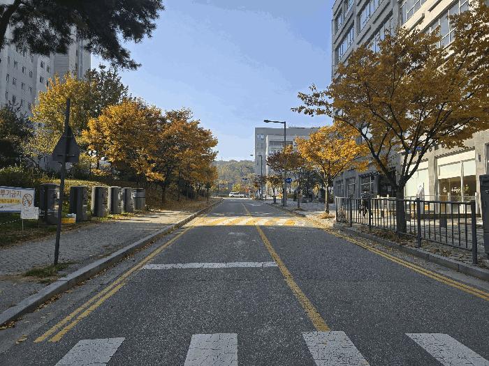 세종특별자치시 아름동 1332 영토빌딩 2층204호 근린상가 경매 사진 4